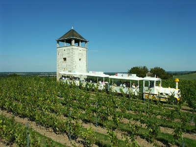 Chalonnes sur loire route des vins d anjou loire sauvage et corniche angevine guide du tourisme de maine et loire