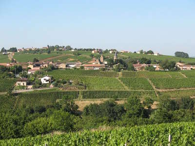 Chanes route des vins du beaujolais rhone