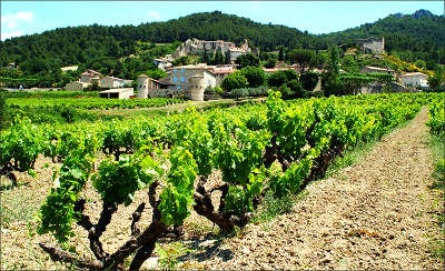 Gigondas route des vins les dentelles de montmirail guide du tourisme du vaucluse