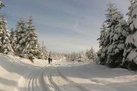 Le haut folin parc naturel regional du morvan guide touristique de bourgogne