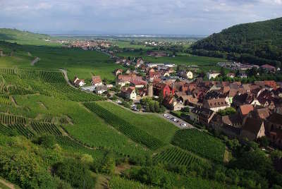 Le schlossberg a kaysersberg route des vins d alsace guide du tourisme de l alsace