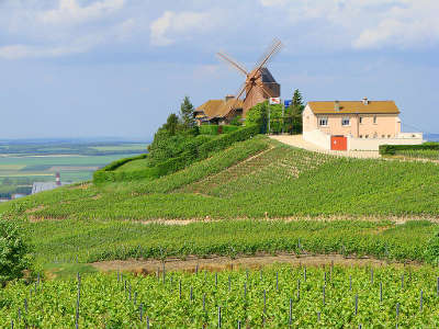 Moulin de verzenay sur le versant septentrional de la montagne de reims la route touristique du champagne la montagne de reims