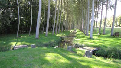 Parc du chateau de thorigny sur oreuze jardins remarquable les routes touristiques dans l yonne guide du tourisme en bourgogne