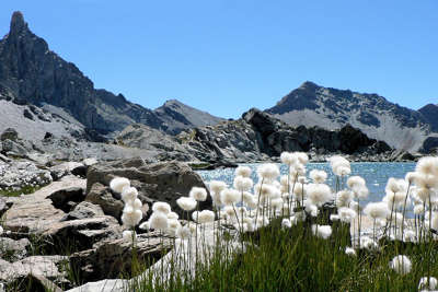 Parc naturel regional du queyras les routes touristiques des hautes alpes guide du tourisme de provence alpes cote d azyr