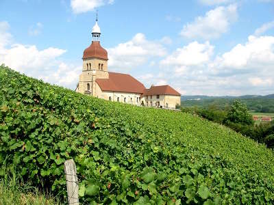 Vignoble jurassien route des vins du jura guide du tourisme du jura