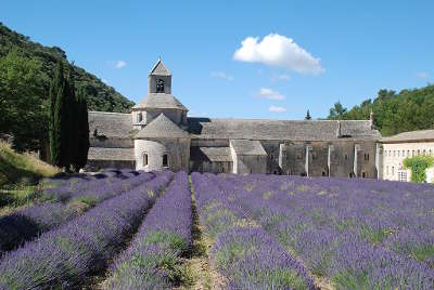 Abbaye de senanque routes touristiques du vaucluse guide du tourisme de provence alpes cote d azur