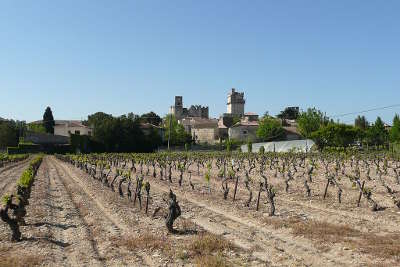 Aoc lirac sur le terroir de saint laurent des arbres route des vins de roquemaure a remoulins guide touristique du gard