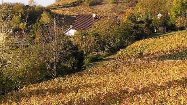 Franche-comté