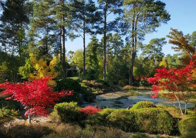 Arboretum des grandes bruyeres jardin remarquable routes touristiques dans le loiret guide du tourisme centre v