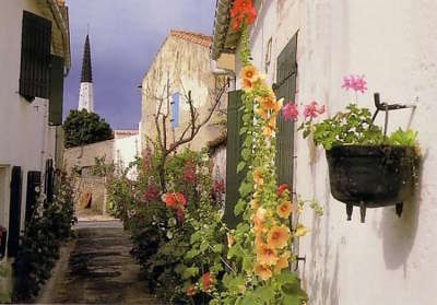 Ars en re plus beau village ruelle fleurie les routes touristique de charente maritime guide du tourisme poitou charente