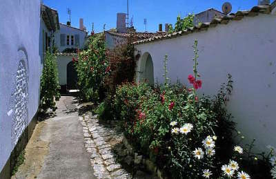 Ars en re plus beau village ruelle fleurie routes touristique de charente maritime guide du tourisme poitou charente