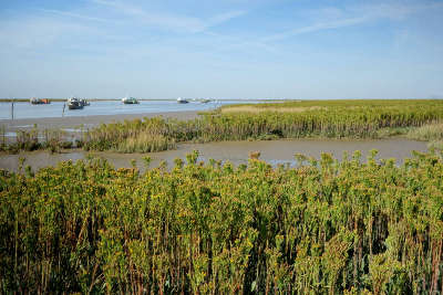 Baie de l aiguillon pres sales a charron routes touristique de charente maritime guide du tourisme poitou charente