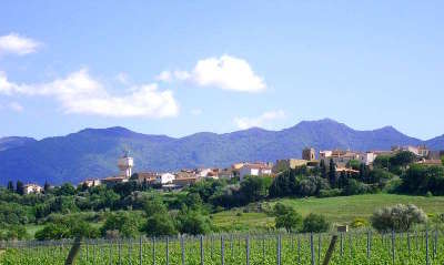 Banyuls dels aspres route des vins en albere guide du tourisme des pyrenees orientales