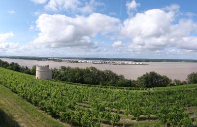 Bayon sur gironde vue sur bec d ambes route de la corniche fleurie guide du tourisme de gironde aquitaine