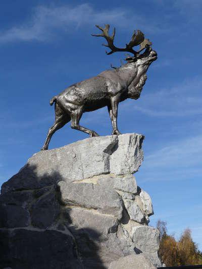 Beaumont hamel le caribou gueudecourt memorial terre neuviens routes touristique de la somme guide du tourisme de picardie