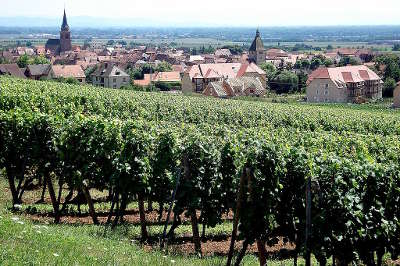 Bergheim vue depuis les coteaux de l altenberg route des vins d alsace guide du tourisme de l alsace