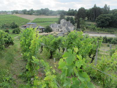 Blaison gohier route des vins d anjou chateau de brissac et vignoble de l aubance guide du tourisme de maine et loire