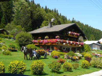 Bois d amont les routes touristiques du jura guide touristique de franche comte