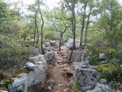 Bois de paiolive site naturel sentier de randonnee borde de murets de pierre routes touristiques de ardeche guide du tourisme du rhone alpes