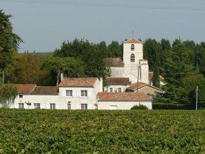 Bourg charente le cognac et le fleuve etape sur la route du vignoble de cognac