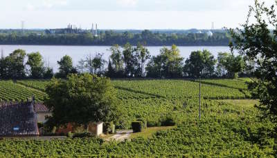 Bourg sur gironde vignoble de bourg route de la corniche fleurie guide touristique de gironde aquitaine