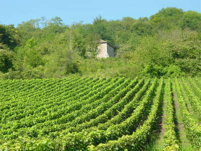 Bulligny routes touristiques de meurthe et moselle guide du tourisme de lorraine