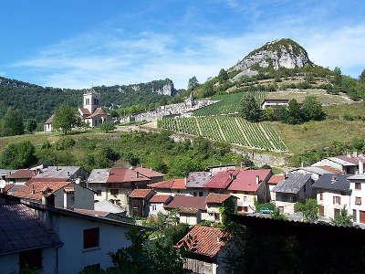 Cerdon vignoble route touristique de ain guide du tourisme auvergne rhone alpes