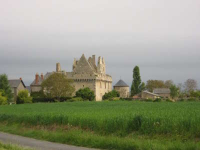 Chateau de riou a tigne route des vins d anjou patrimoine du haut layon guide du tourisme de maine et loire