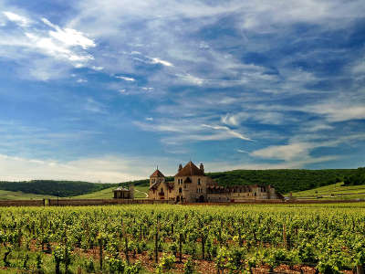 Chateau du clos de vougeot sur la route des grands crus de bourgogne guide touristique de cote d or