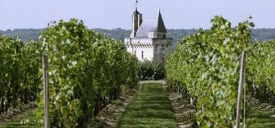 Chinon vignoble chateau route des vins de tourraine rive gauche entre saumur et chenonceaux