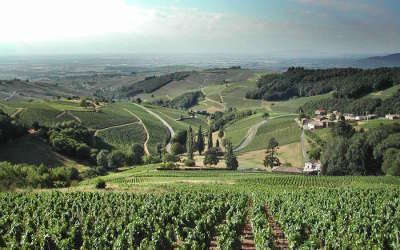 Chiroubles route des vins du beaujolais rhone