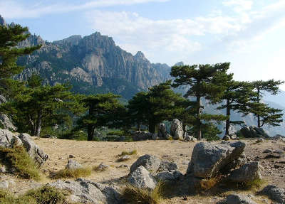 Col de bavella routes touristiques en corse du sud guide du tourisme de la corse