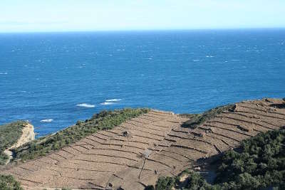 Collioure vignobles route des vins en albere guide du tourisme des pyrenees orientales