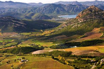 Conca d oru vignoble de patrimonio golfe de saint florent grand site de france guide du tourisme de haute corse