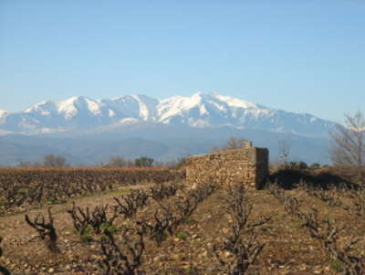 Corneilla la riviere route des vins en roussillon guide du tourisme dans les pyrenees orientales