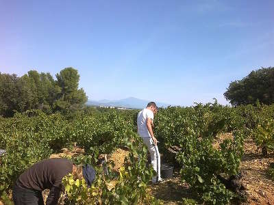 Courthezon route des vins du cote du rhone autour d avignon