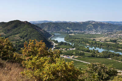 Crozes hermitage les vignobles septentrionaux route des vins des cotes du rhone