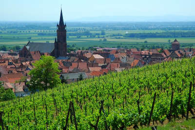Dambach la ville route des vins d alsace guide du tourisme de l alsace