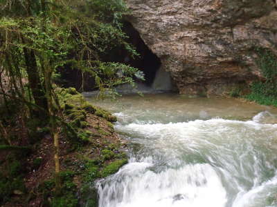 Darcey grotte routes touristiques en cote d or guide du tourisme en bourgogne