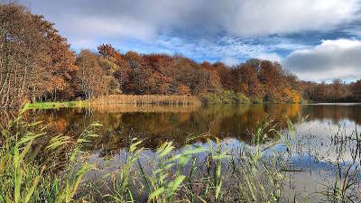 Deux fays l etang gros routes touristiques du jura guide du tourisme de franche comte