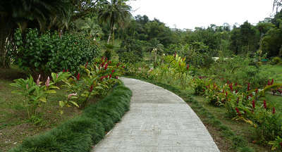 Domaine d emeraude parc naturel regional de martinique guide du tourisme de la martinique