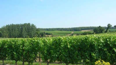 Domaine de villeneuve tremont route des vins d anjou patrimoine du haut layon guide du tourisme de maine et loire