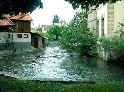 Erstein bras de l ill route du rhin guide touristique du bas rhin alsace