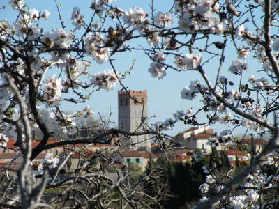 Espira de l agly route des vins d agly guide du tourisme dans les pyrenees orientales