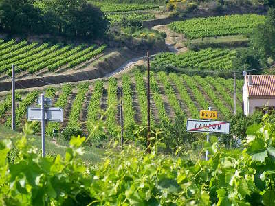 Faucon les vignobles route des vins d orange a vaison la romaine