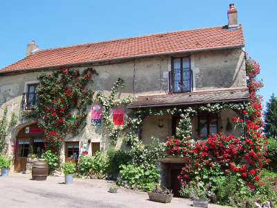 Ferme fruirouge a concoeur corboin sur les hauteurs de nuits saint georges routes touristiques en cote d or guide du tourisme en bourgogne