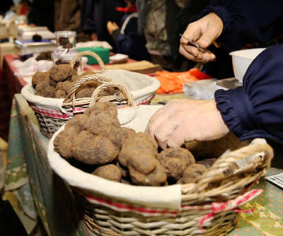 Fete de la truffe a aups route de la truffe guide du tourisme var provence alpes cote d azur