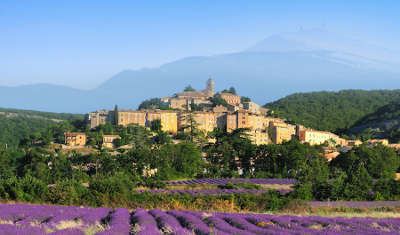 Forcalquier et les champs de lavandes routes touristique des alpes de haute provence guide du tourisme provence alpes cote d azur