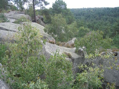 Foret vue des gorges de franchard parc naturel regional du gatinais francais guide du tourisme de la seine et marne ile de france