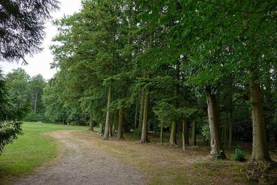 Harcourt l arboretum d harcourt routes touristiques d e l eure guide touristique de la haute normandie